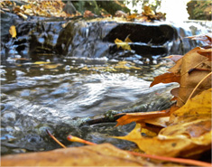 无广告打扰的ddos免费测试